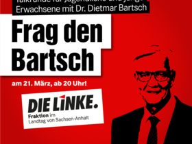 Online-Talk mit Dietmar Bartsch